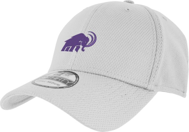 Amherst College New Era Diamond Era 39Thirty Stretch Fit Hat Amherst College Mammoth - ONLINE ONLY