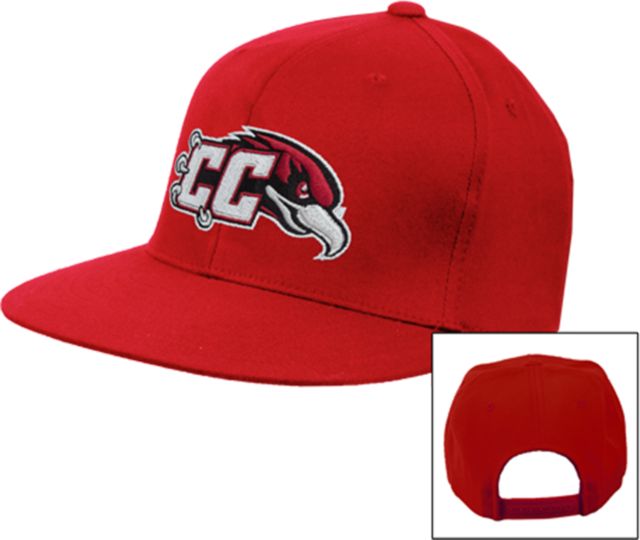 Casper Flat Bill Snapback Hat CC with Thunderbird - ONLINE ONLY