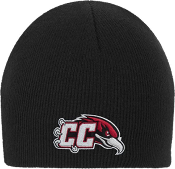 Casper Knit Beanie CC with Thunderbird - ONLINE ONLY