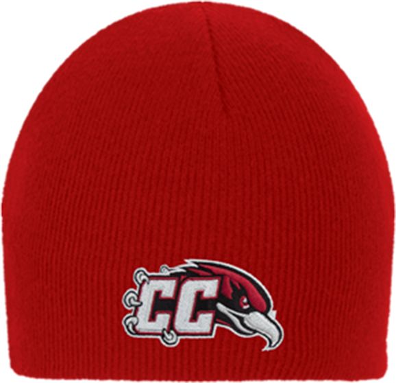 Casper Knit Beanie CC with Thunderbird - ONLINE ONLY