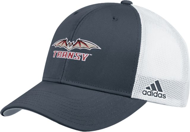 Transylvania Adidas Structured Adjustable Hat Primary Athletics Mark - ONLINE ONLY