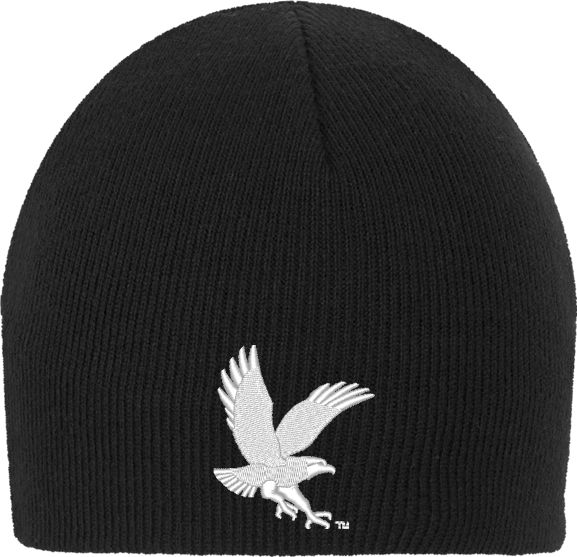 Embry Riddle Worldwide Knit Beanie ERAU Eagle - ONLINE ONLY