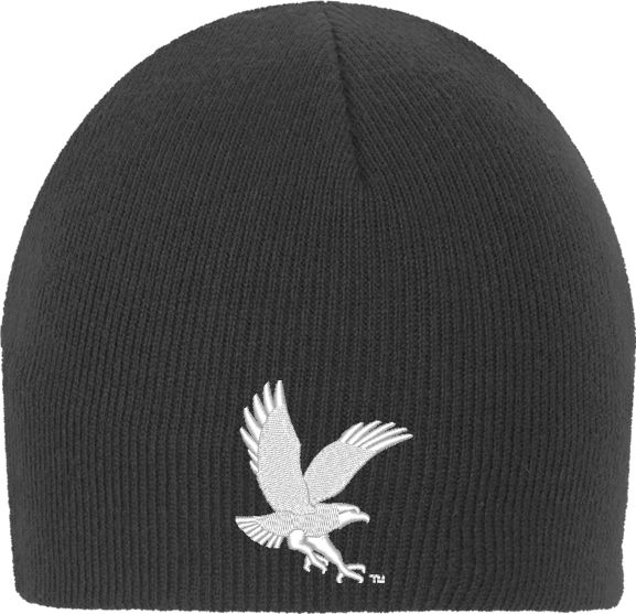 Embry Riddle Worldwide Knit Beanie ERAU Eagle - ONLINE ONLY