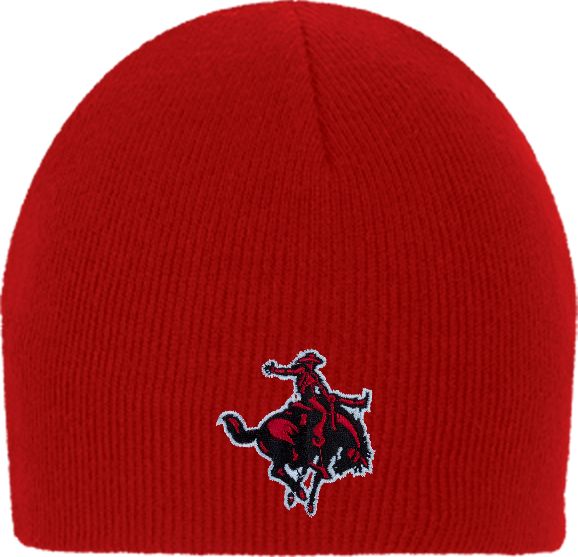 Northwestern OK Knit Beanie Primary Mark - ONLINE ONLY