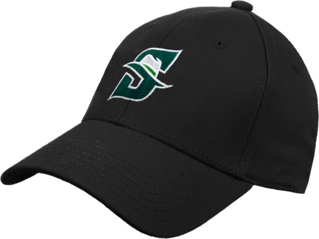 Stetson Heavyweight Twill Pro Style Hat Primary logo - ONLINE ONLY