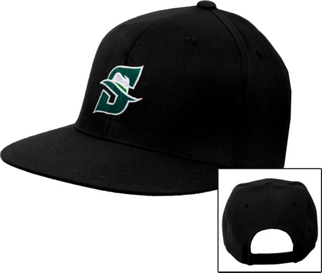 Stetson Flat Bill Snapback Hat Primary logo - ONLINE ONLY