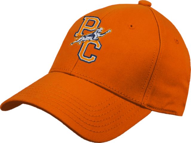 Purchase Heavyweight Twill Pro Style Hat Primary Logo - ONLINE ONLY: State  University of New York