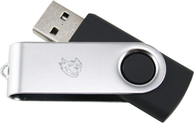 Central New Mexico USB Mini Pen Drive 8G Suncat Head Engraved - ONLINE ONLY