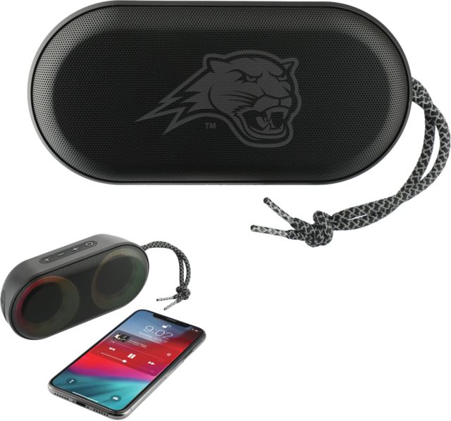 Averett Zedd Outdoor Speaker with RGB Lights Cougar Head  Engraved - ONLINE ONLY