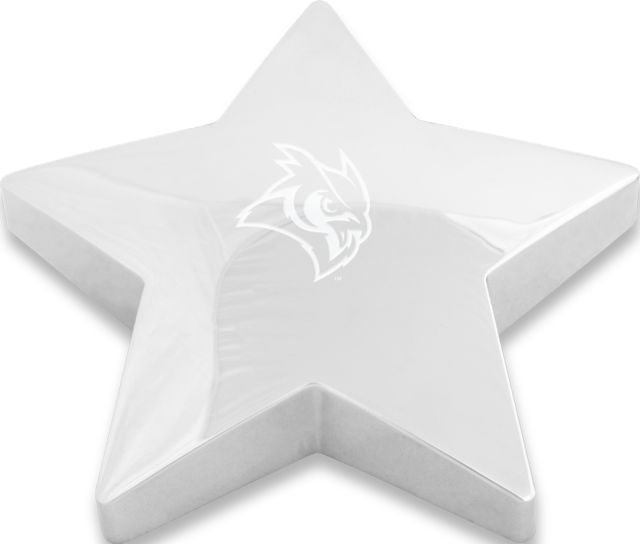 Rice Star Paperweight Owl Head Engraved - ONLINE ONLY