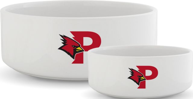 SUNY Plattsburgh Ceramic Dog Bowl P Cardinals - ONLINE ONLY