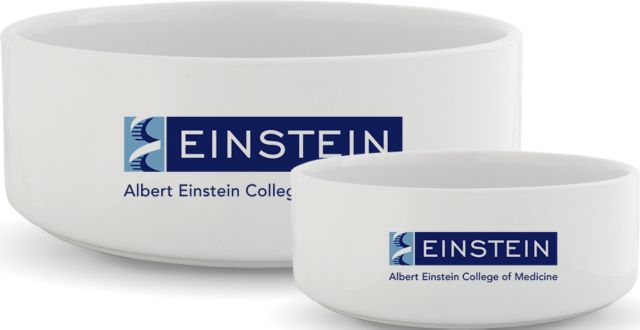 Albert Einstein Ceramic Dog Bowl Einstein Logo - ONLINE ONLY