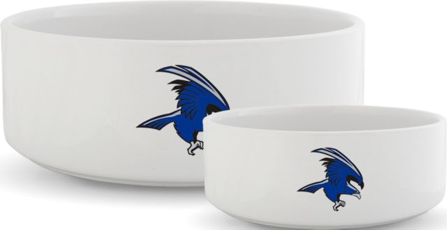 Solano Ceramic Dog Bowl Solano Community College Falcon - ONLINE ONLY