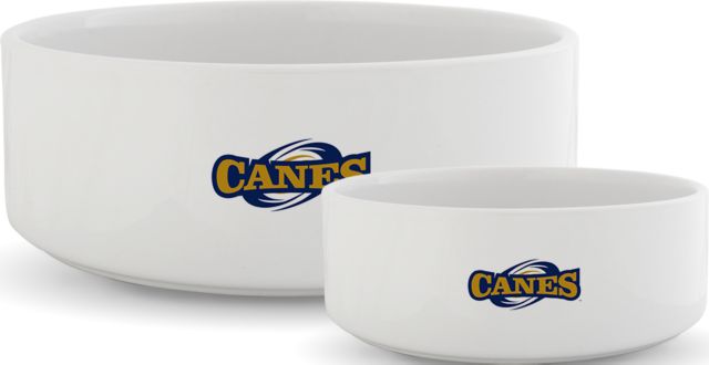 GSW State Ceramic Dog Bowl Canes Athletics Mark - ONLINE ONLY