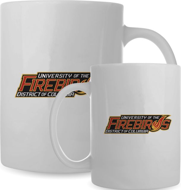 District of Columbia Full Color Mug 15oz Primary Mark - ONLINE ONLY