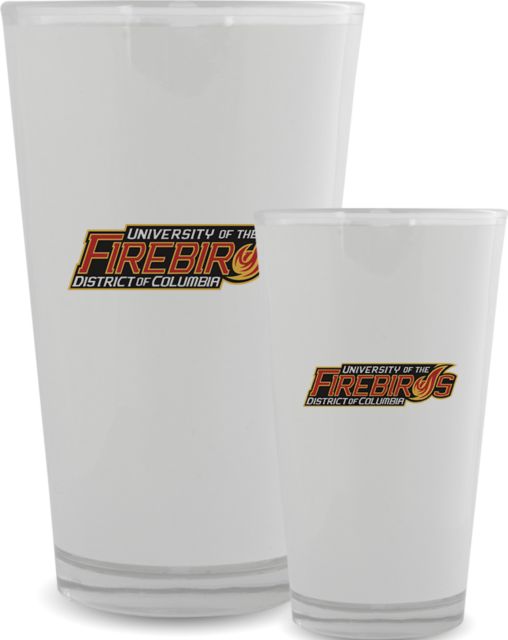 District of Columbia Full Color Glass 17oz Primary Mark - ONLINE ONLY