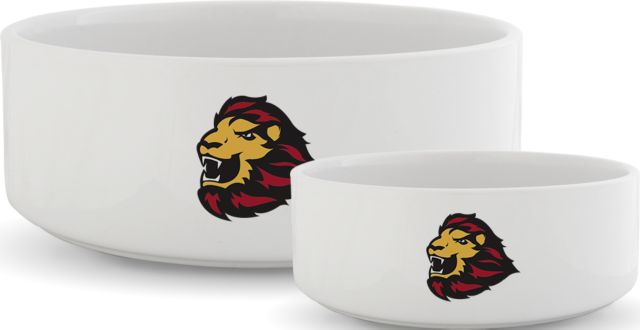 St. Thomas Ceramic Dog Bowl UST Primary Mark - ONLINE ONLY