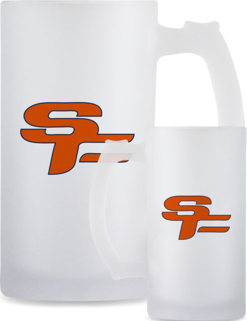 South Florida State Full Color Decorative Frosted Glass Mug 16oz Primary Mark - ONLINE ONLY