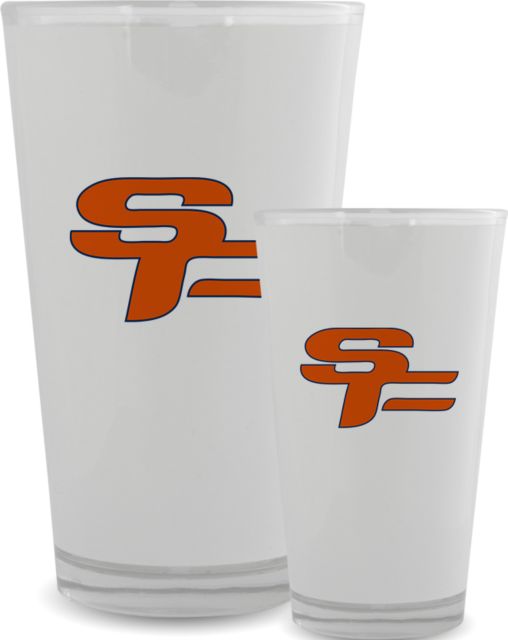 South Florida State Full Color Glass 17oz Primary Mark - ONLINE ONLY