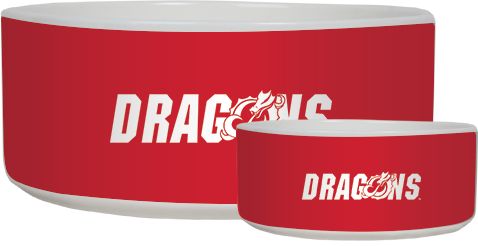 MSUM Ceramic Dog Bowl Dragons - ONLINE ONLY
