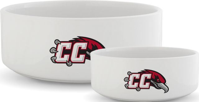 Casper Ceramic Dog Bowl CC with Thunderbird - ONLINE ONLY