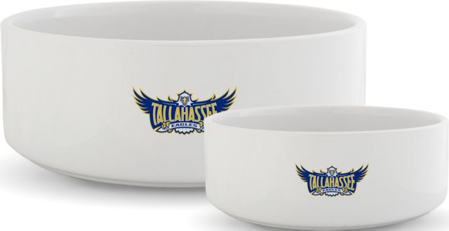 Tallahassee Ceramic Dog Bowl Tallahassee Eagles Primary Athletics Mark - ONLINE ONLY