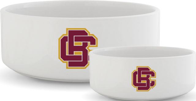 Bethune Cookman Ceramic Dog Bowl Primary Mark - ONLINE ONLY