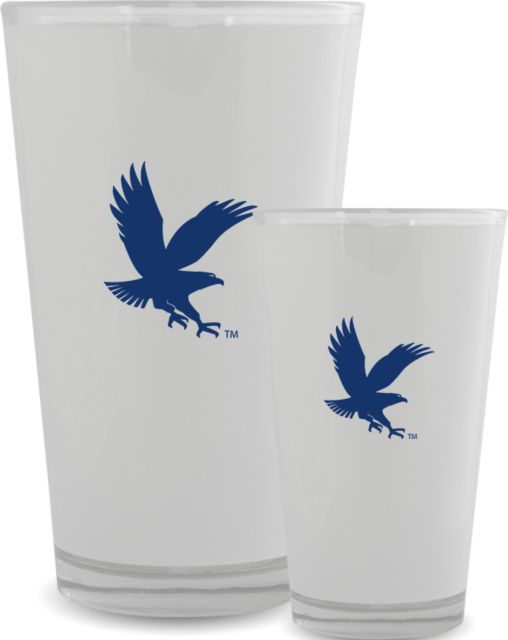 Embry Riddle Worldwide Full Color Glass 17oz ERAU Eagle - ONLINE ONLY