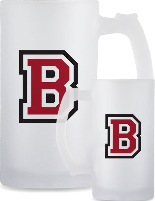 RCBC Full Color Decorative Frosted Glass Mug 16oz Barons B - ONLINE ONLY
