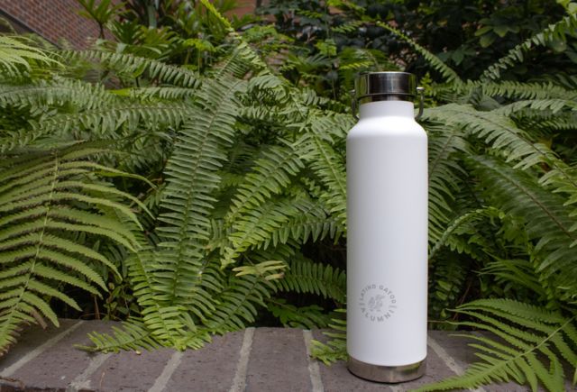 Latino Gator Alum Insulated Water Bottle