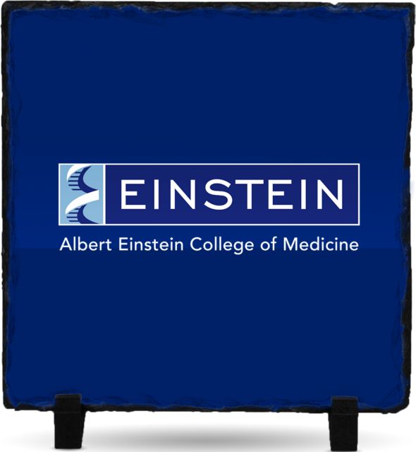 Albert Einstein Photo Slate Einstein Logo - ONLINE ONLY