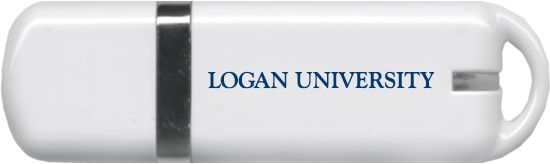 Logan USB Pen Drive 4G Primary Logo - ONLINE ONLY