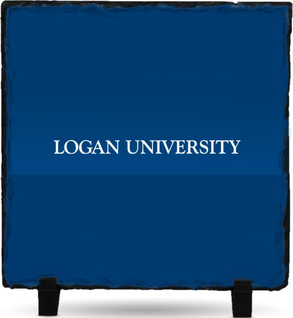 Logan Photo Slate Primary Logo - ONLINE ONLY