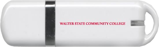 Walter State USB Pen Drive 4G Official Artwork - ONLINE ONLY