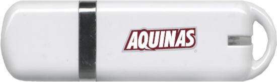 Aquinas College USB Pen Drive 4G Wordmark - ONLINE ONLY