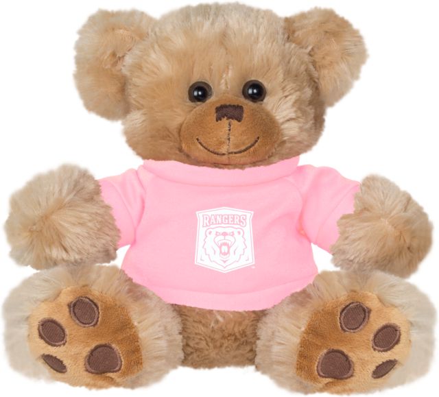 Wisconsin Parkside Plush Big P