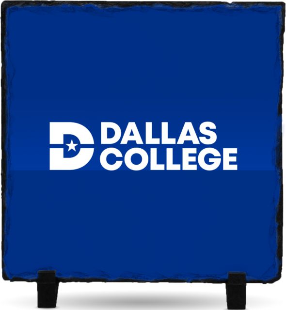 Dallas College Photo Slate Primary Mark - ONLINE ONLY