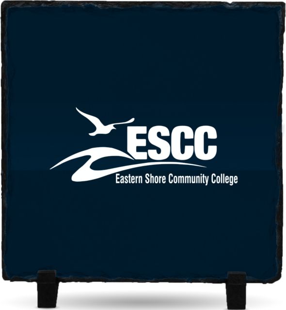 ESCC Photo Slate Primary Logo - ONLINE ONLY