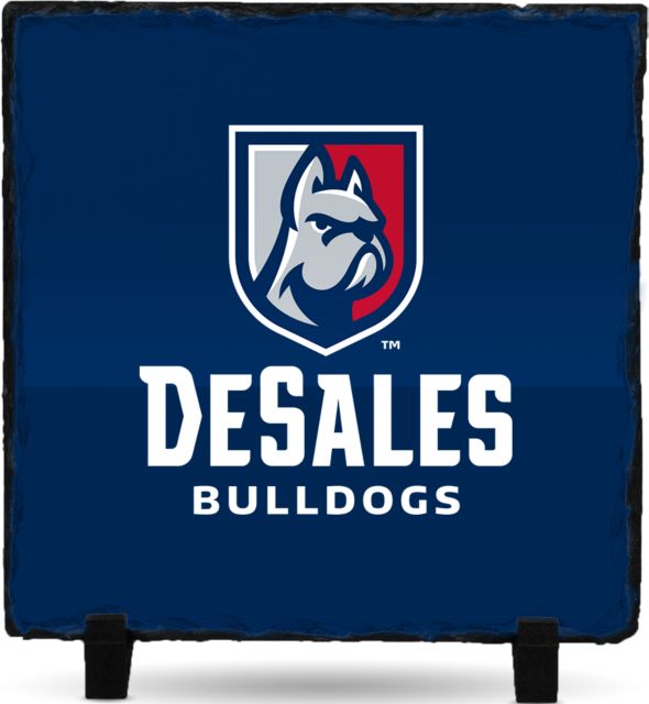 DeSales Photo Slate Primary Logo - ONLINE ONLY