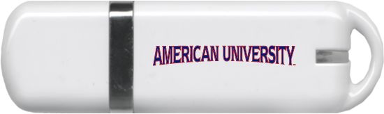 American University USB Pen Drive 4G  - ONLINE ONLY