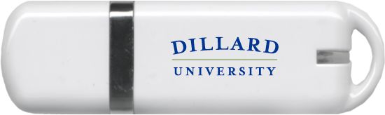 Dillard USB Pen Drive 4G Dillard University Wordmark - ONLINE ONLY