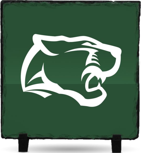 Pine Crest Photo Slate Panther Head - ONLINE ONLY
