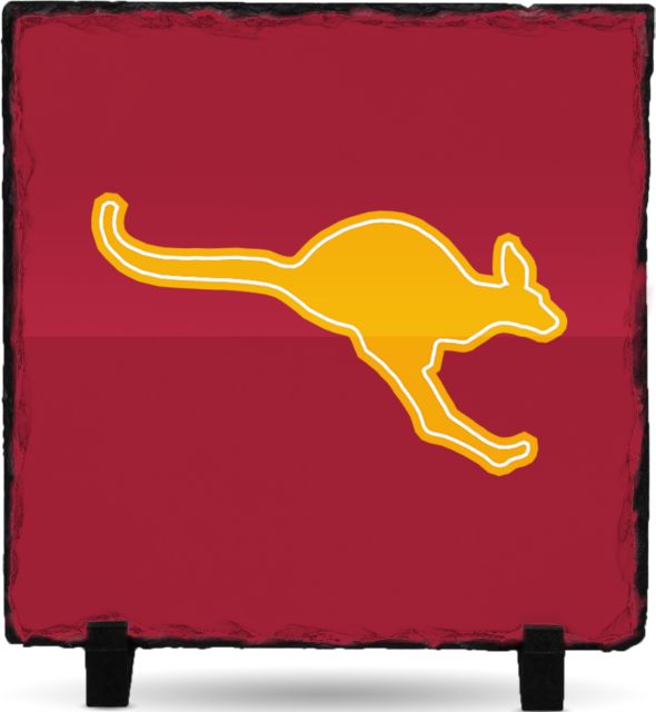 Austin College Photo Slate Roo Mascot - ONLINE ONLY