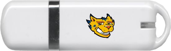 Central New Mexico USB Pen Drive 4G Suncat Head - ONLINE ONLY