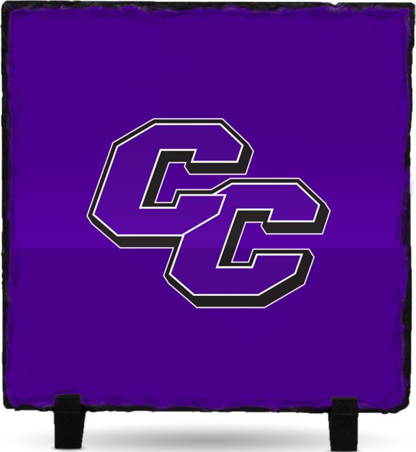 Curry College Photo Slate Curry College Primary Athletic Mark - ONLINE ONLY