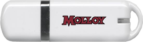 Molloy University USB Pen Drive 4G Molloy Wordmark - ONLINE ONLY