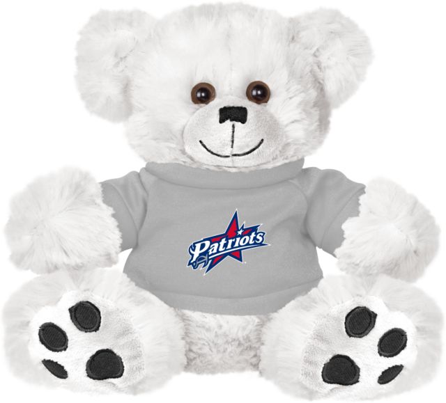 patriots teddy bear