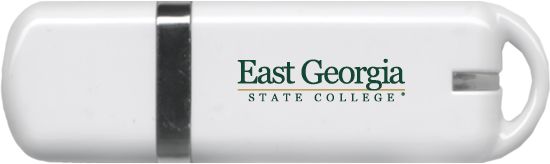 East Georgia State USB Pen Drive 4G Primary Mark - ONLINE ONLY