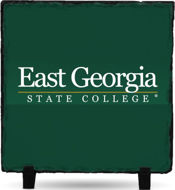 East Georgia State Photo Slate Primary Mark - ONLINE ONLY