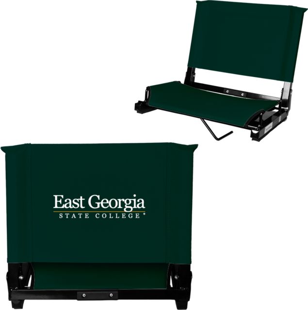 East Georgia State Stadium Chair Primary Mark - ONLINE ONLY